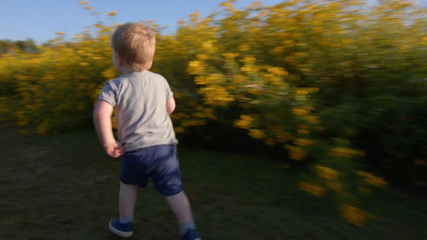 A male toddler running playfully through a path in a flower field during daytime