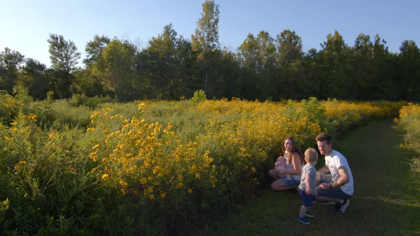 A family gathered near a beautiful field of yellow flowers