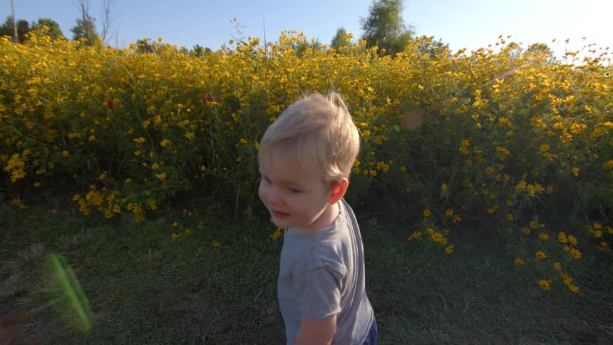 Young boy looks around and runs on a path through a field of wild flowers