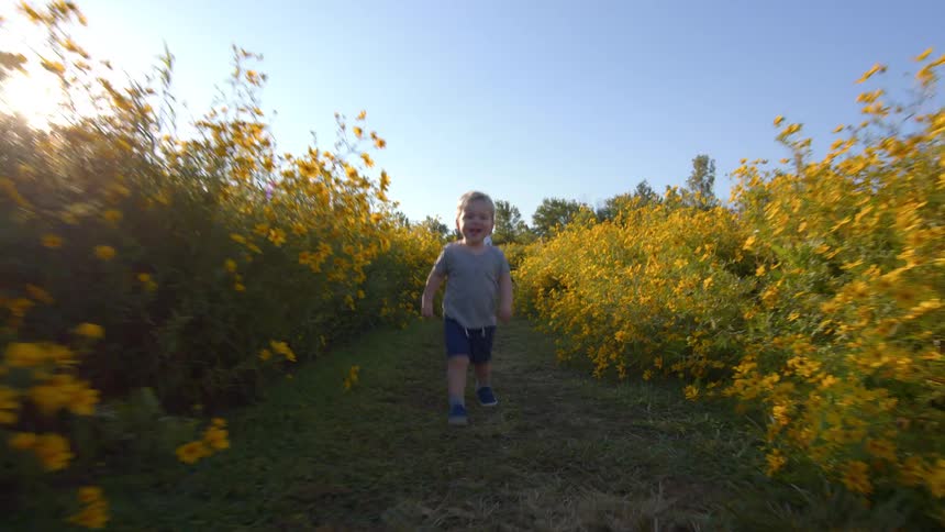 A child running through a field of flowers