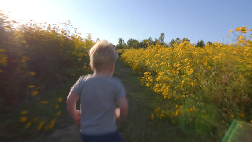 A blond toddler wearing a gray tshirt and blue shorts running energetically down a narrow grassy path through a vibrant field of tall yellow wildflowers under a clear sunlit sky while a person is standing on the background