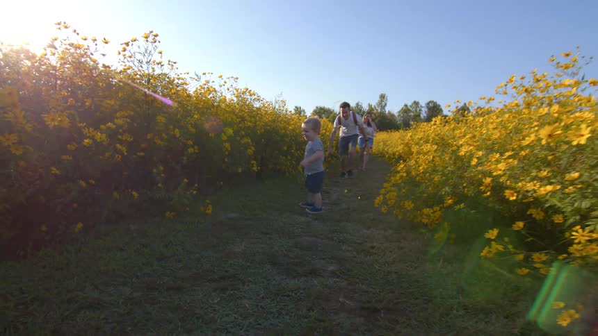A joyful toddler sprints through a sundrenched field of yellow flowers parents smiling behind as his father playfully lifts him onto his shoulders