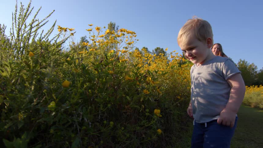 A toddler toddles past yellow wildflowers in a sunny park as adults and an infant follow behind