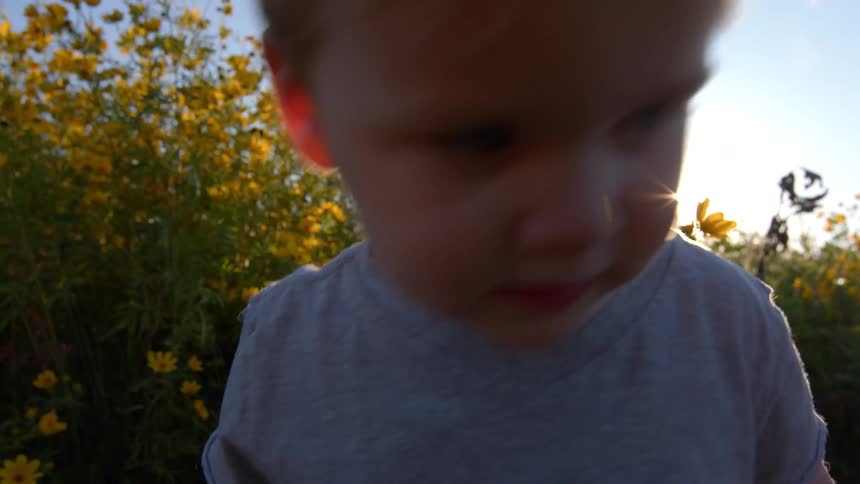 Male toddler walking around bushes and flowers accompanied by a young adult woman outdoors during day time