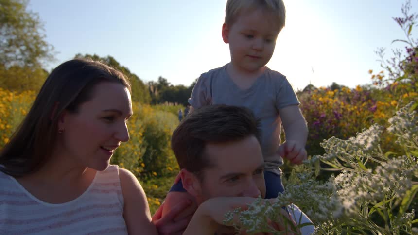 Family observes flowers in a field during a sunny afternoon