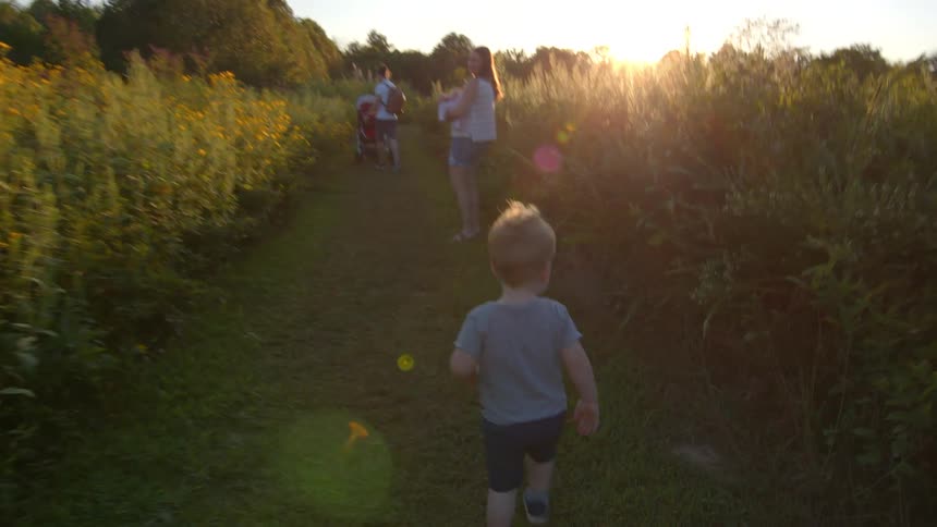 A child runs through a sunlit field toward two adults golden light glinting through the grass