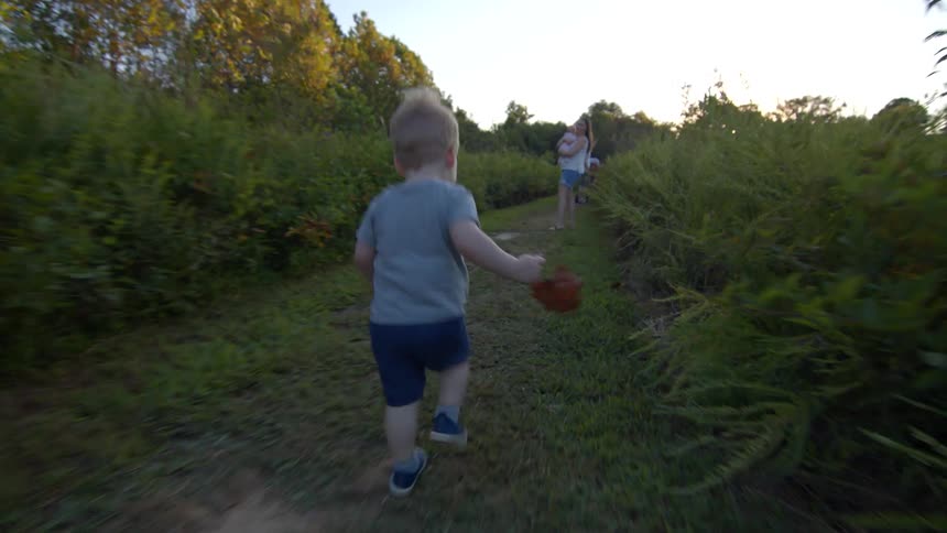A boy runs playfully along a dirt path surrounded by green foliage at sunset