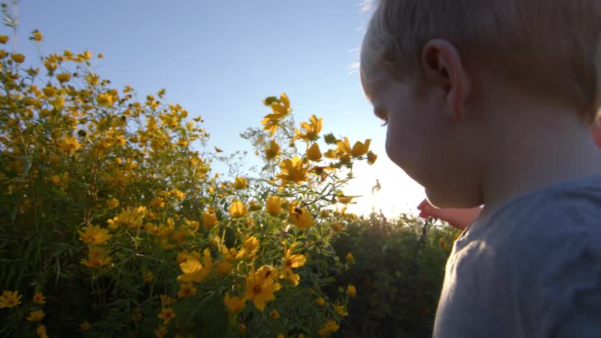 A mother and son explore yellow flowers together in a sunny outdoor field