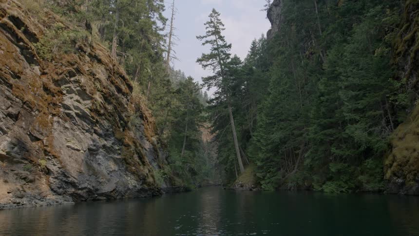Trees and rock form the banks of a forest river