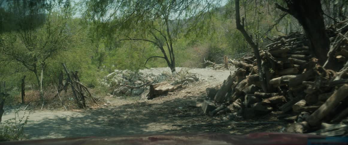 The video shot from inside a vehicle shows a dirt road leading through a dry brushy area surrounded by green trees and foliageto the right there is a large pile of stacked firewood and a low stone wall is visible in the background