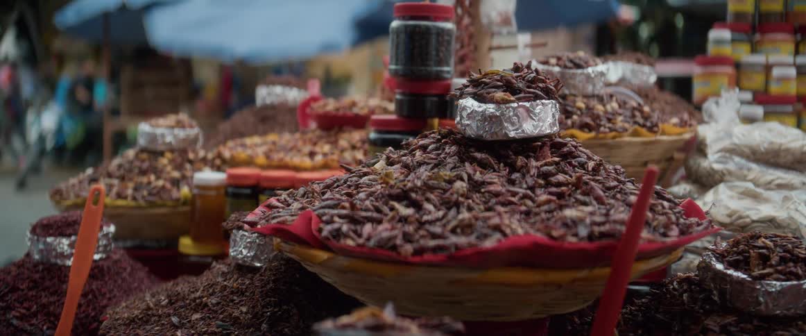 Baskets filled with dried insects displayed at an outdoor market stall