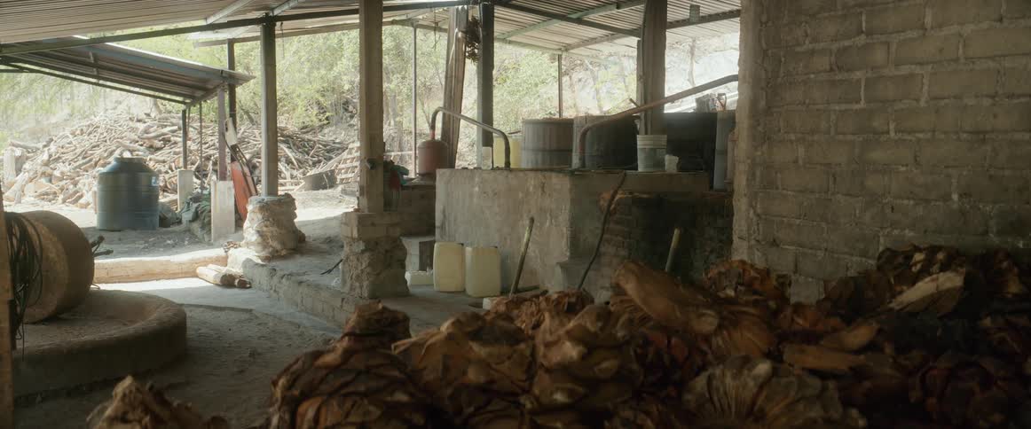 Rustic distillery with metal equipment and piles of dried agave