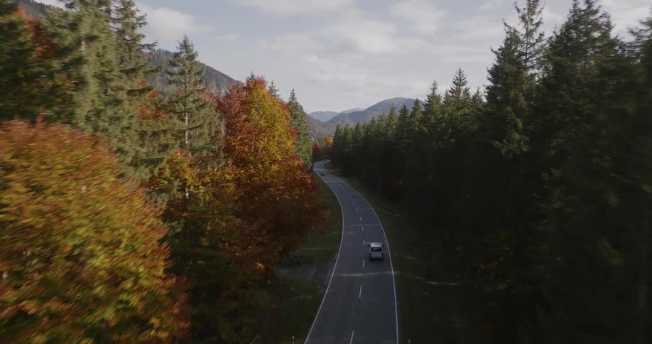 An aerial view of a car driving through the woods