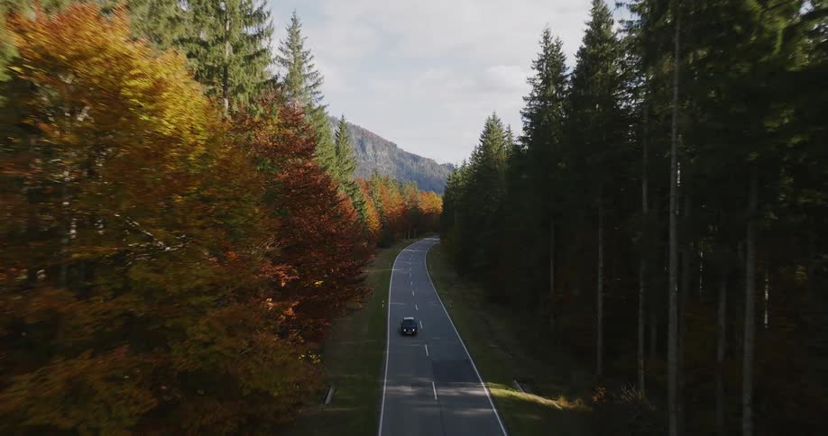 An aerial view shows a winding road through a forest of green and autumn trees