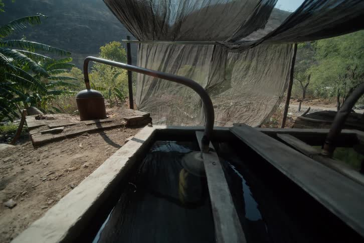 An open area having series of water pump out in the wild middaay