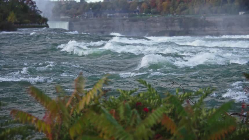 Plants by a rushing river with white waves and a blurred background