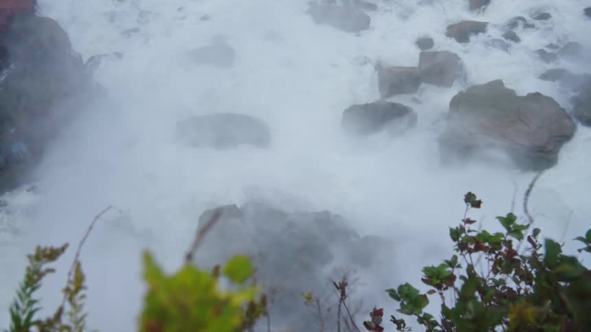 Green foliage in the foreground facing a turbulent river with rocks