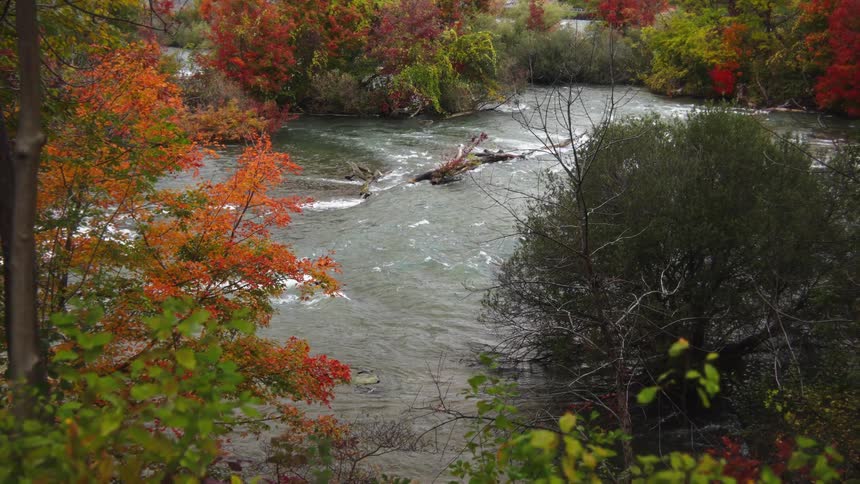 A river moving through a gorge framed by dense banks of trees displaying the vibrant reds and oranges of peak autumn foliage with subtle indications of a bridge and structures from a distant urban area