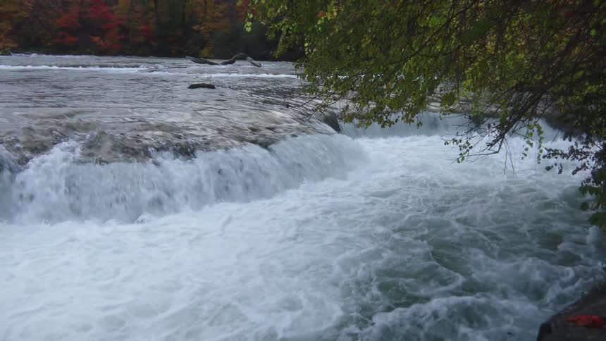 A river flows rapidly over a short rocky shelf creating a foamy white cascade that rushes into the turbulent pool below with trees displaying vibrant autumn colors is visible in the distant background