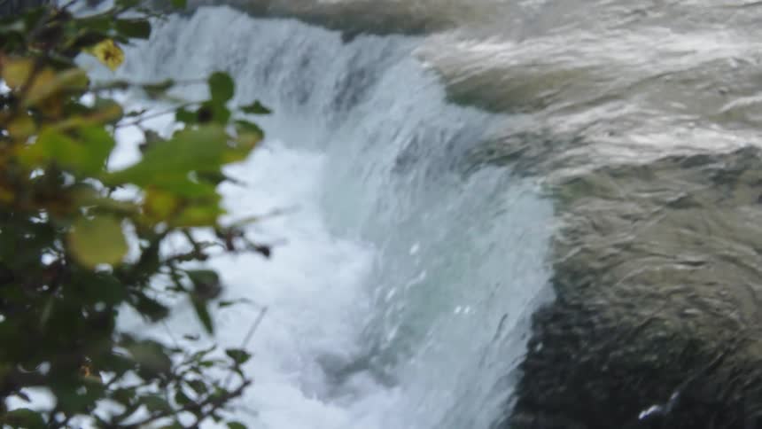 A closeup view captures the churning white water of a powerful wide waterfall as it plunges over a ledge framed by outoffocus leaves