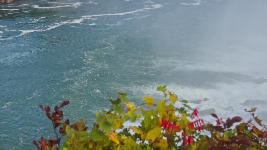 Colorful foliage frames a view of a mistcovered turbulent river