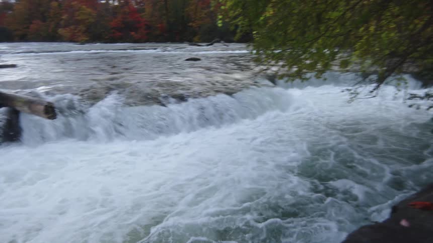 Rapids stream through the woods in autumn