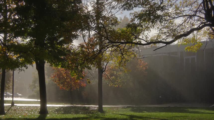 Sunlight cuts through fog by a building