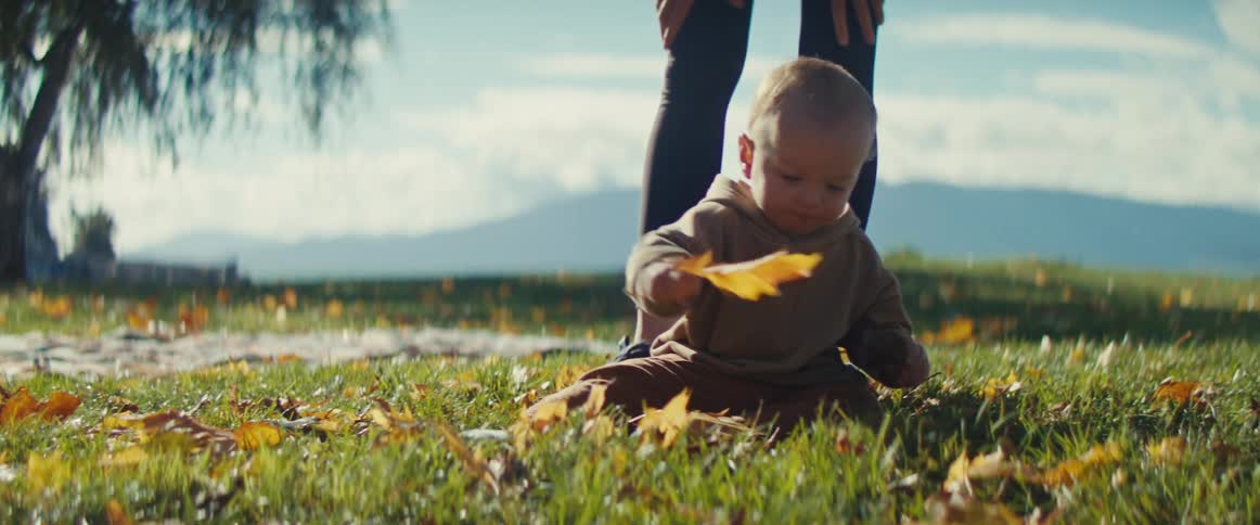 Baby playing with dry leaves on a sunny lawn