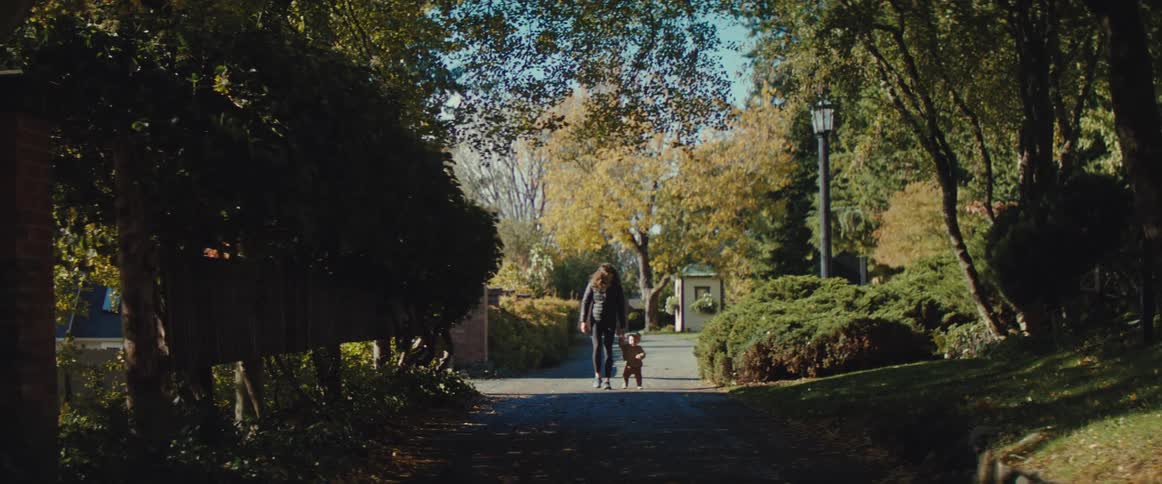 A woman and a small child walk down a treelined paved driveway bathed in the warm light of what appears to be a sunny autumn day they are seen from a distance surrounded by lush green and goldenyellow foliage