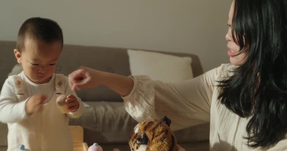 Mother and son playing with toys together in a cozy living room