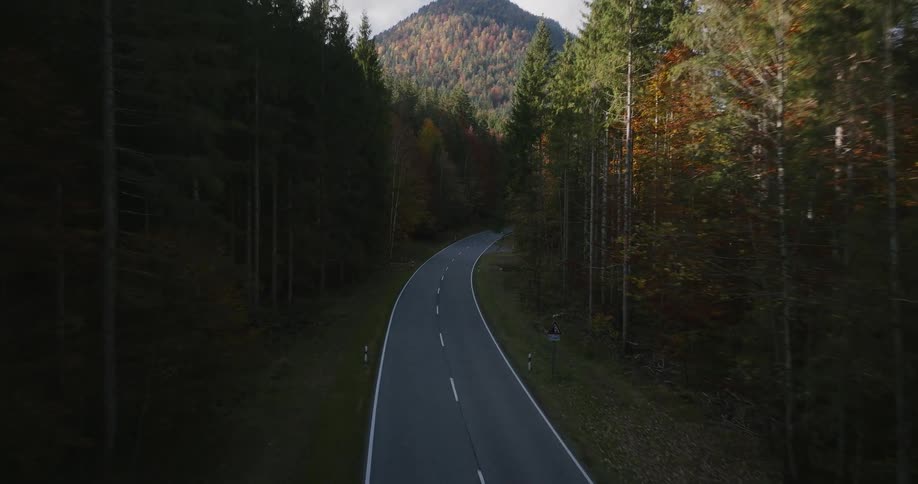 Aerial view of a forested mountain road with trees in fall colors