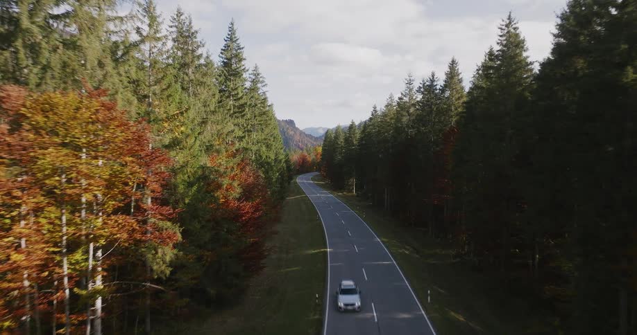 Aerial view of light traffic on a forested mountain road