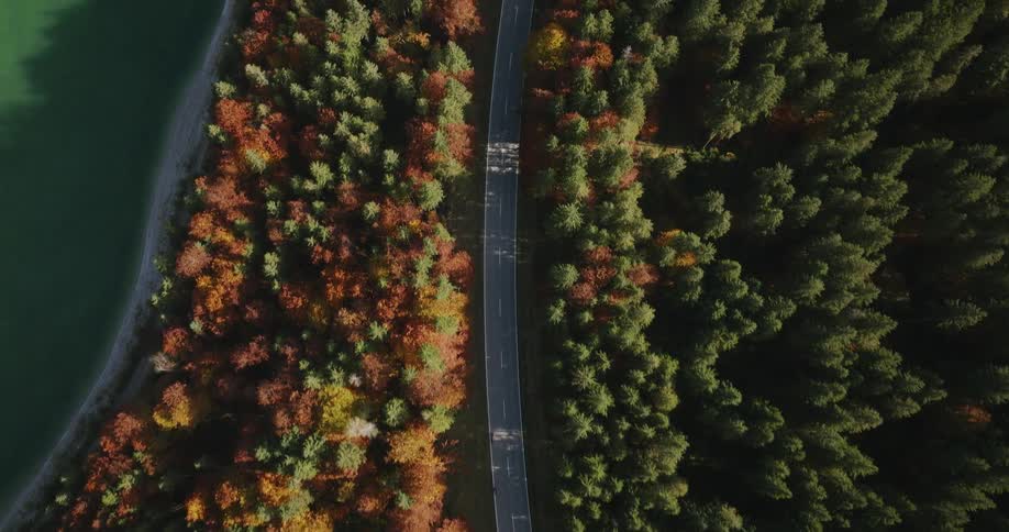 Aerial view of light traffic on a freeway through the forest with trees in bright fall colors