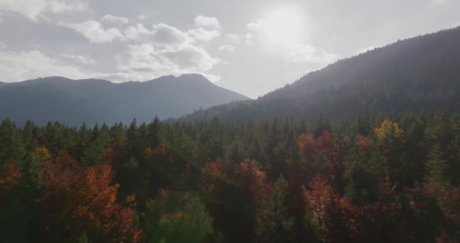 A clear greenish lake surface revealing a dense dark forest that climbs the slopes of majestic hazy mountains beneath a partly cloudy sky with a brilliant sun flare dominating the upper right corner