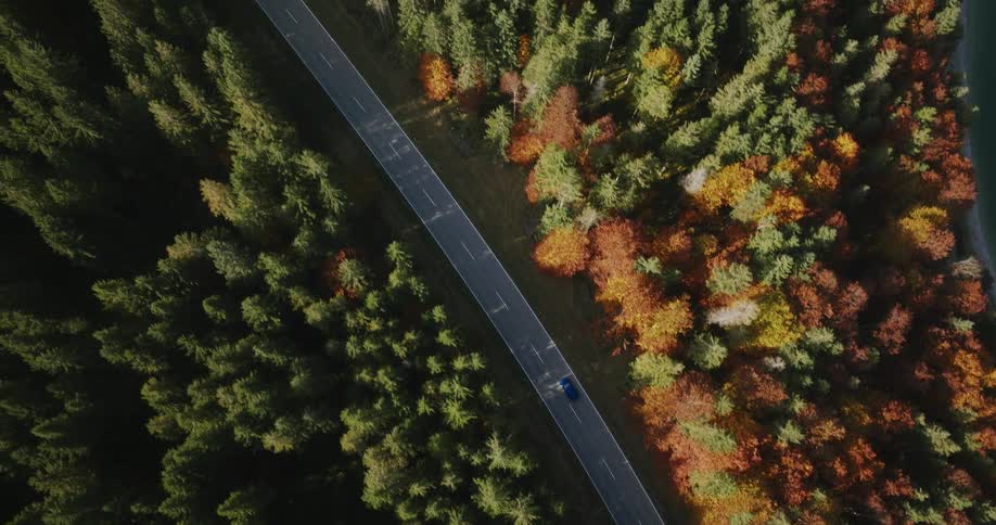 Aerial view of  a road through the forest with trees in bright fall colors