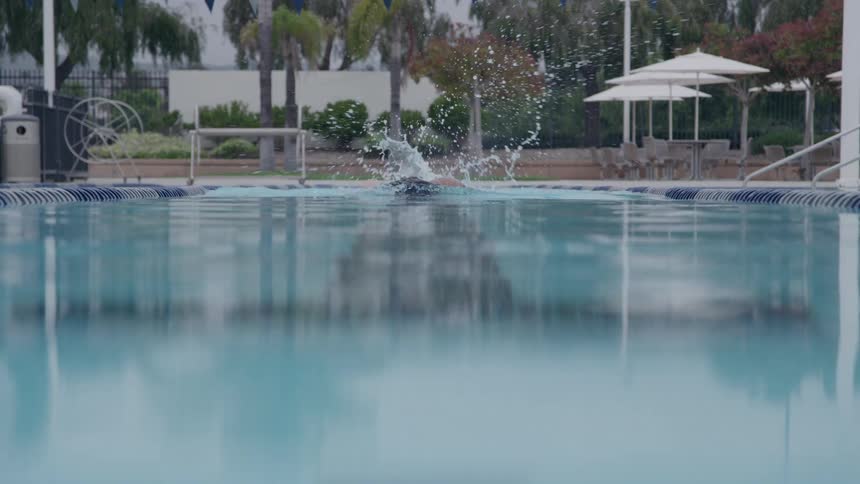 A swimmer glides through a clear outdoor pool lined with palm trees behind