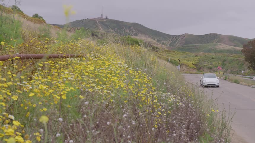 Car travels on a country road with wildflowers on a hill and mountains in the distance