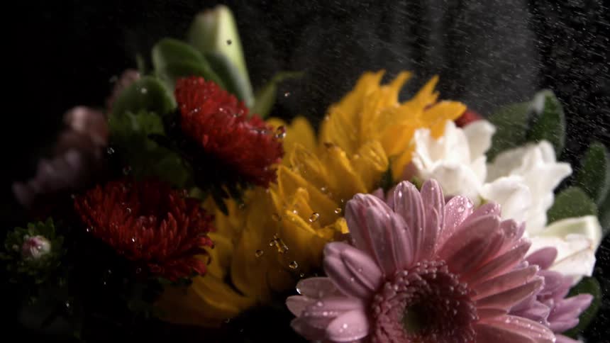 A bouquet of mixed flowers including yellow and purple blooms is misted with water droplets against a dark background