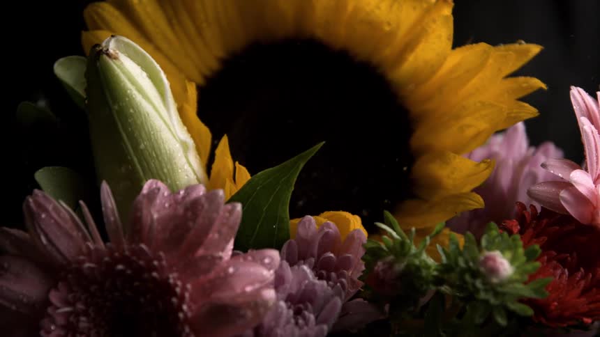 A bouquet of flowers with water drops is blowing around