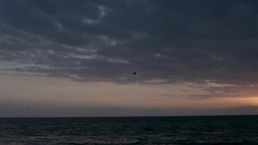 Cloudy sunset sky with birds flying over the calm sea