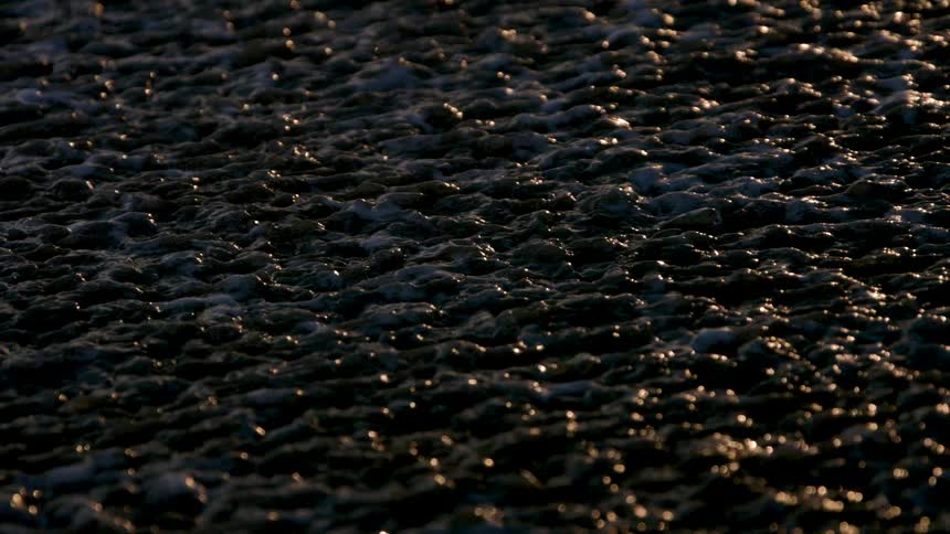 A dark foamy expanse of water gently ripples catching tiny bright yellow reflections of light across its textured surface