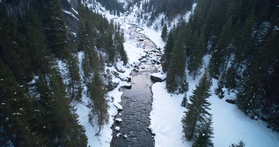 A stream flows down a mountain lined with snow and trees at midday