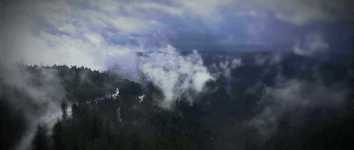 Dense fog covers a forest among mountains
