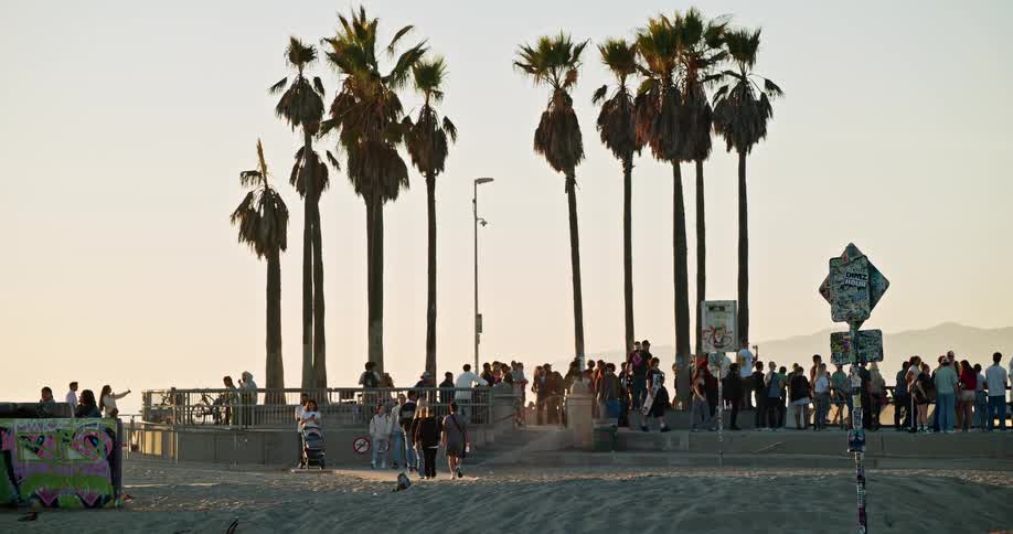 Group of people gathered on the beach at sunset among rows of palm trees