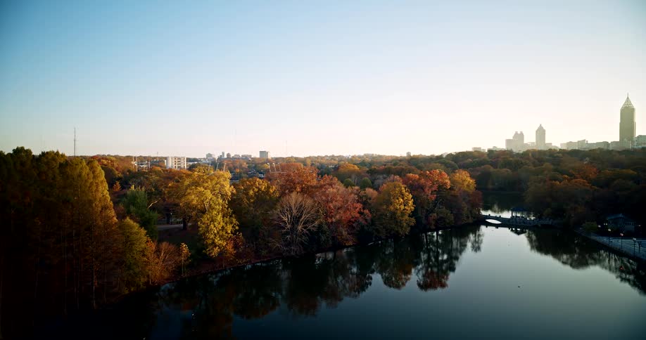 Forest of trees along the coast with downtown skyscrapers and neighborhood buildings in the distance