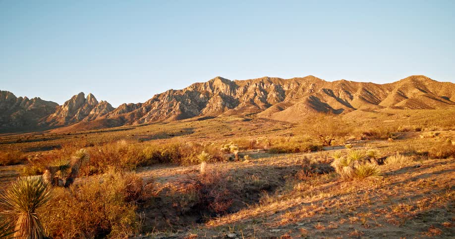 Small plants and shrubs grow in an arid region near mountains