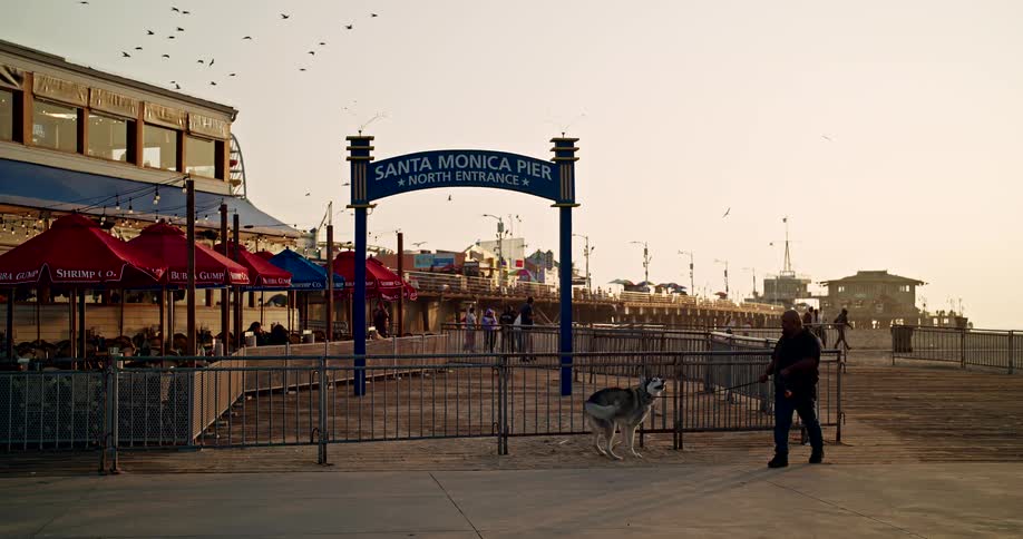 A man walks his dog near the north entrance to the santa monica pier