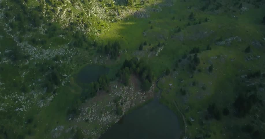 A calm mountain lake is surrounded by trees and grass