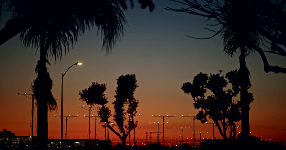 Silhouettes of trees outside of the neighborhood as an airplane comes in for a landing