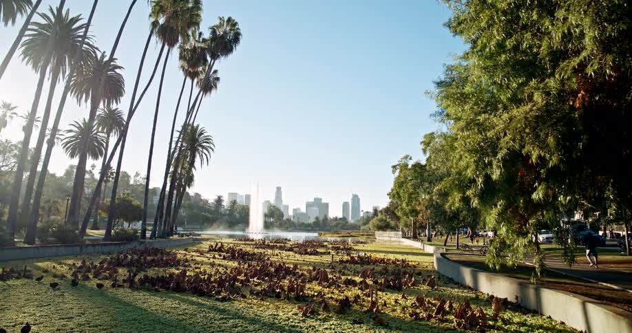 This video presents a wide static shot of a sunny city park scene featuring a pond with a large central fountain and the distinct skyline of a city visible in the background over the water the foreground is dominated by a lush area of lowlying foliage